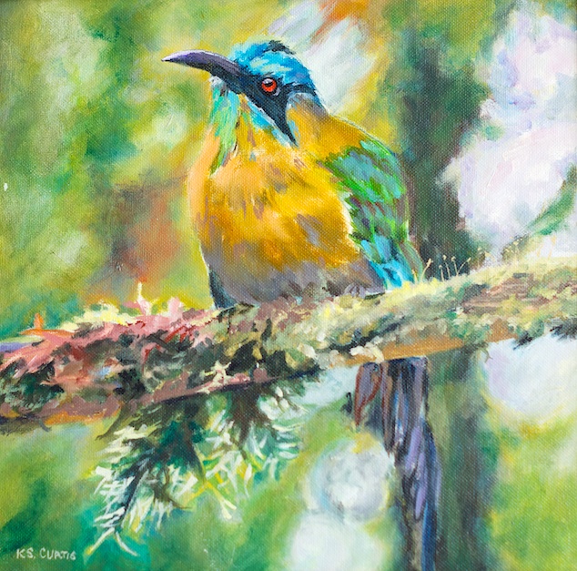 The Beauties of Costa Rica | KSCurtis Fine Art